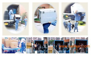 臺江區(qū)搬家公司價格與口碑服務指南