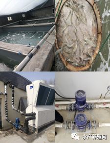 成本節省一半！沈陽海爾中央空調為室內養殖業插上“高利潤”翅膀